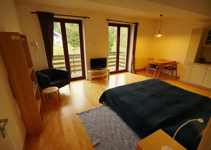 206 * Harrachov